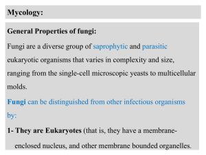 11-12Introduction to Mycology_modified_05