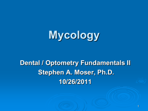 Mycology - UAB School of Optometry