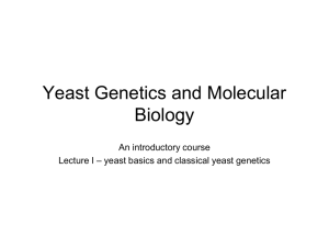 Yeast genetics 2015 Lecture 1