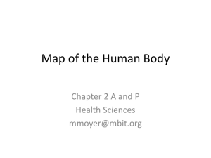 Map of the Human Body