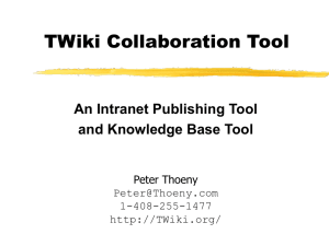 Executive Summary of the TWiki Collaboration Tool