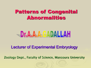 Patterns of Congenital Abnormalities