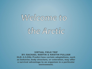 7.4 Arctic Field Trip