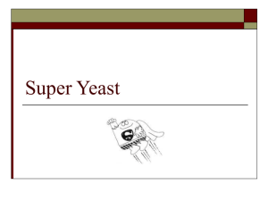 Super Yeast post lab