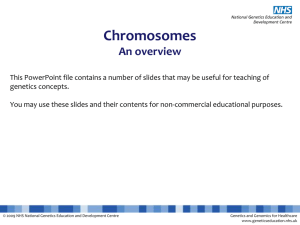 Chromosomes (explanation slides) - National Genetics Education