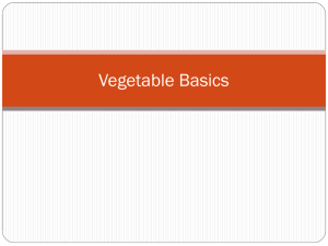Vegetable Basics - SPA Food Studies