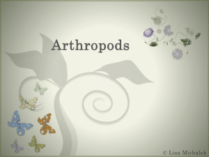 Arthropods - Cowan Science
