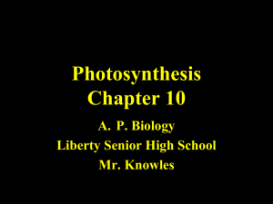 Chapter 10 Photosynthesis Part 1