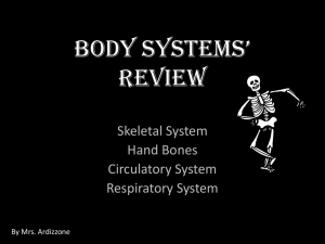Body Systems' Review