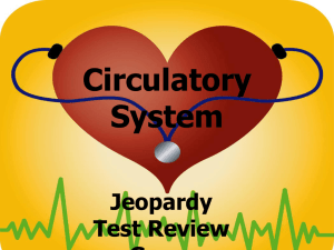 circulatory system jeopardy