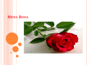 Mena Rosa - AIDS 2012