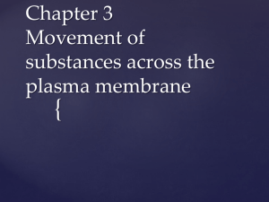 Chapter 3 Movement of substances across the