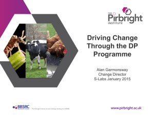 Driving Change Through the DP Programme