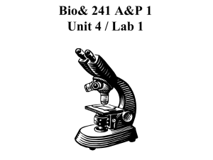 Bio 241 Unit 4 Lab 1 PP