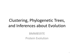 Clustering__Phylogenetic_Trees__and_Infe
