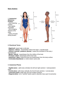 Basic Anatomy 1. Anatomical Reference Position