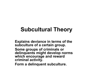 Subcultural Theory File
