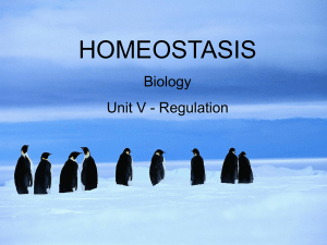 Homeostasis and Feedback Mechanism