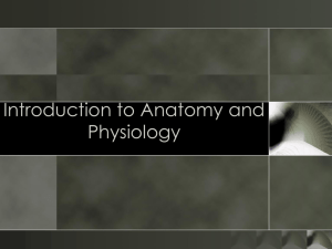 Unit 1 - ANATOMY AND PHYSIOLOGY