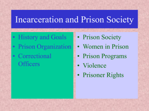 Incarceration and Prison Society