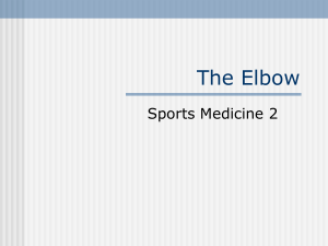 The Elbow - Gilbert High School - Sports Medicine 2