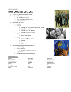 Unit 2 Culture Outline