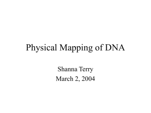 Physical Mapping of DNA
