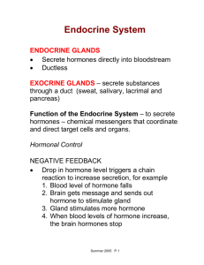 Endocrine Notes - Powell County Schools