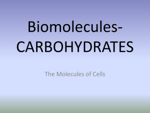 Biomolecules-CARBOHYDRATES