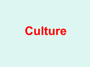 Culture - Primary School Education
