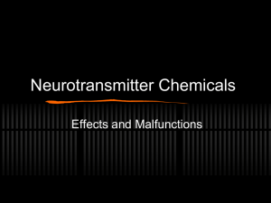 Neurotransmitter Chemicals