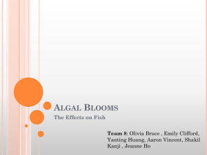Algal Blooms - tfss-g4p