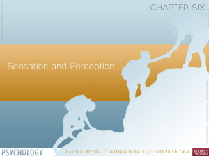 Sensation and Perception Chapter 6 PowerPoint