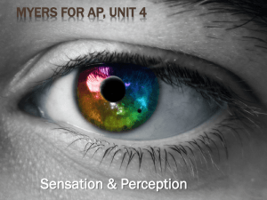 Unit 4 PowerPoint Myers for AP, Unit 4