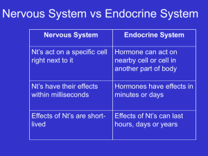 Endocrine-2404endocrinesystem11_08_06