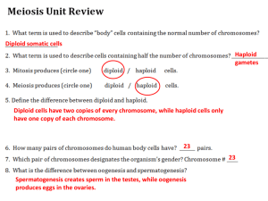 Meiosis Study Guide Review