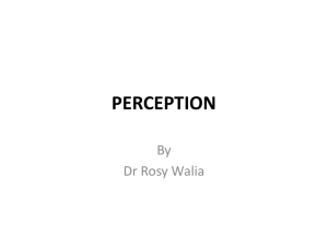 perception - WordPress.com