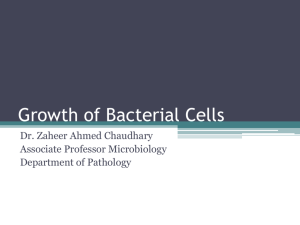 Growth of Bacterial Cells