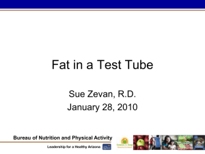 Fat in a Test Tube - Sue Zevan