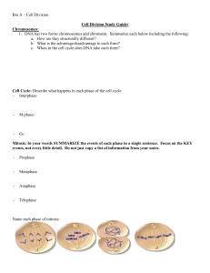 Cell Division Study Guide: