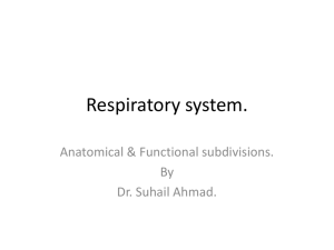 Overview Of Respiratory System Anatomy By Dr Sohail Ahmed 02