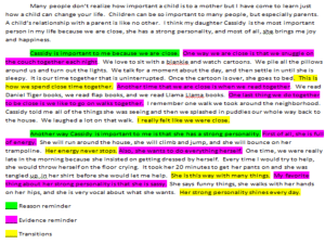 Example Essay highlighted