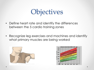 Understanding Heart Rate and Cardio Training Zones