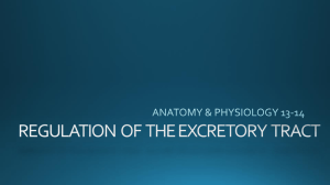 REGULATION OF THE EXCRETORY TRACT
