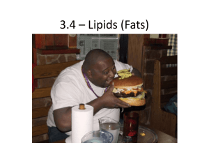 3.4 * Lipids (Fats)