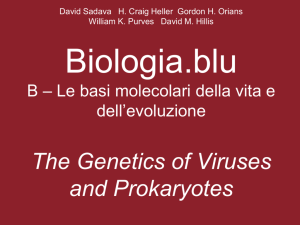 The Genetics of Viruses and Prokaryotes