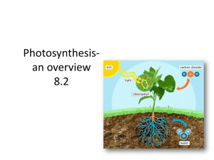 Photosynthesis-an overview 8.2