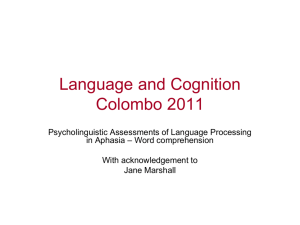 Language Processing in Children and Adults