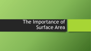 IB 2 Surface Area
