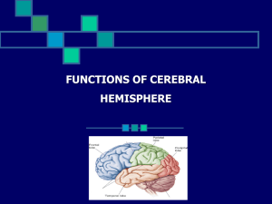 L21-Cerebral Hemisph..